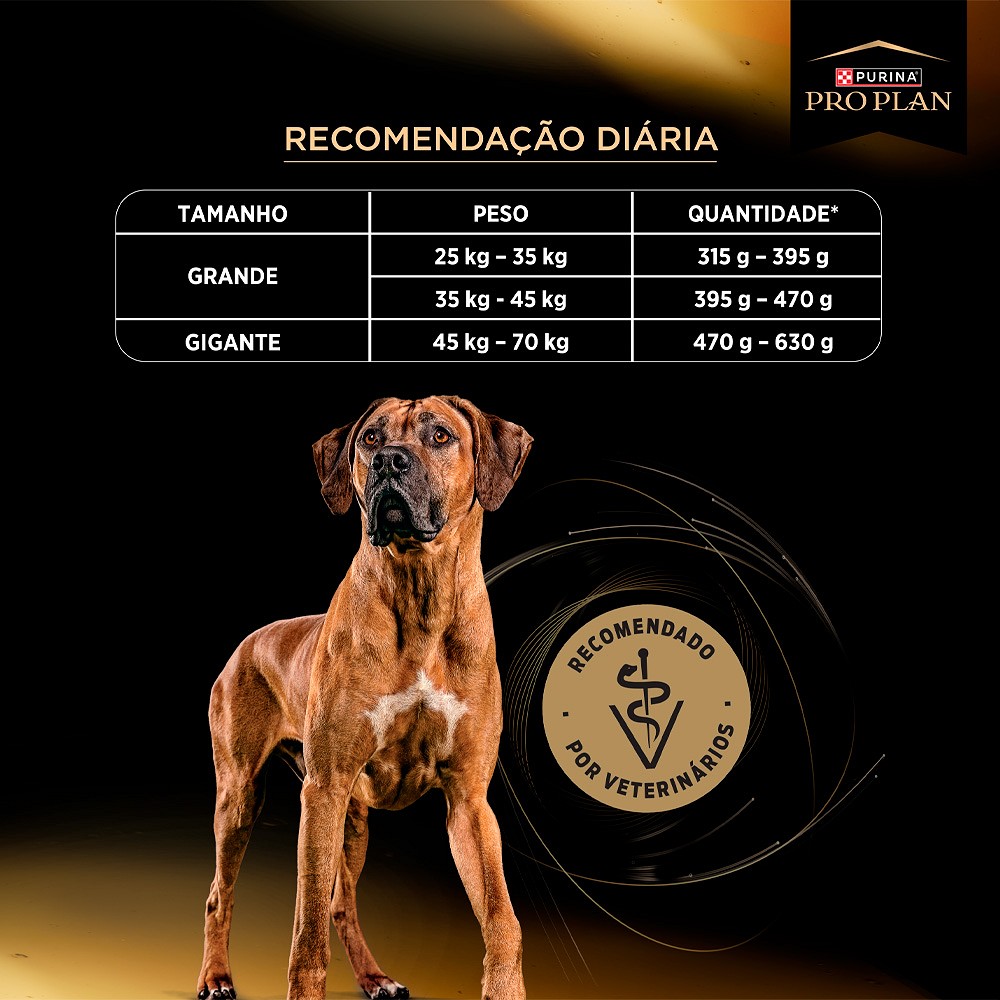 Ração Proplan Cuidado Excepcional para Cães Adultos de Raças Grandes 