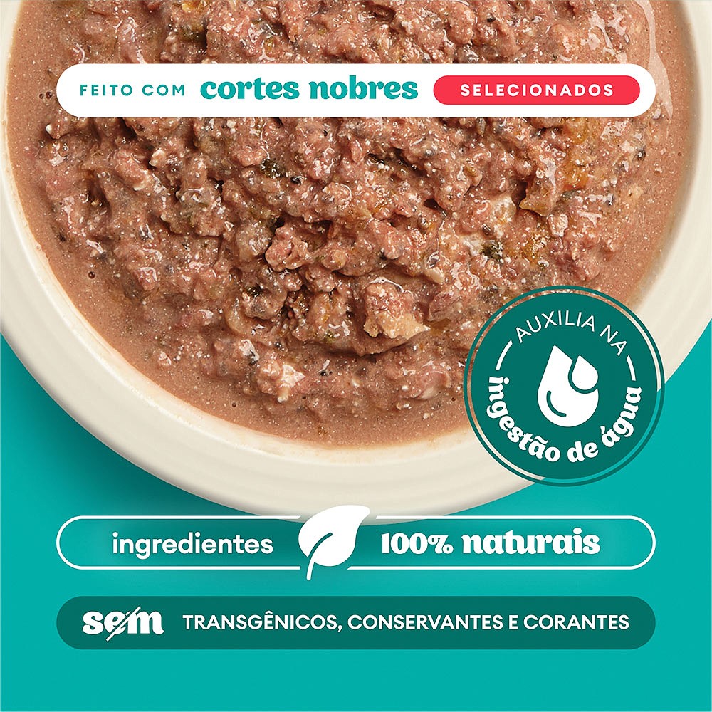 Sachê Natural Pet Delícia Ragu de Carne com Legumes para Cães