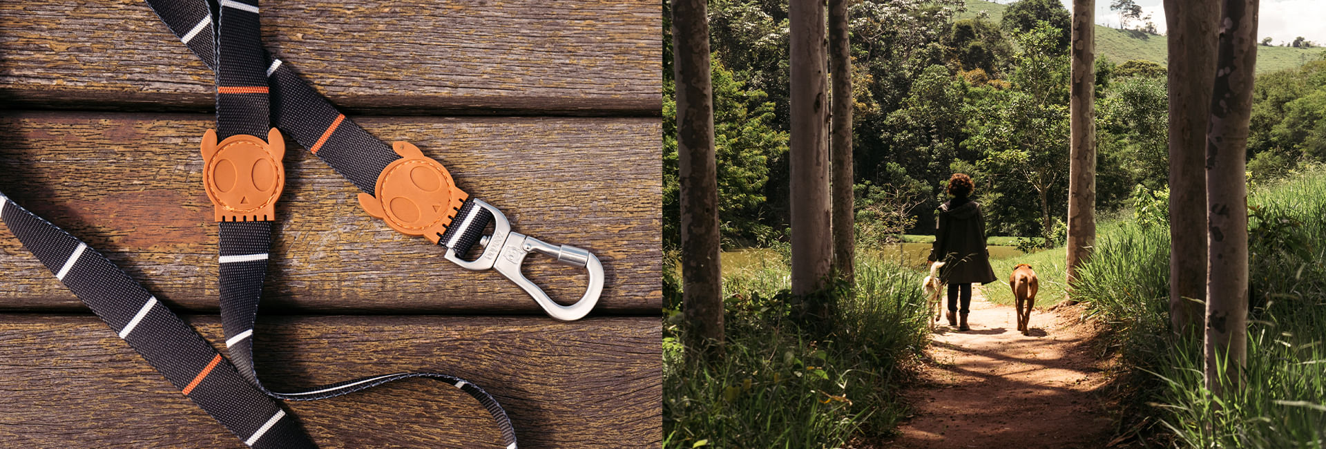 Coleira para Cachorros Patagonia | Lifestyle Images