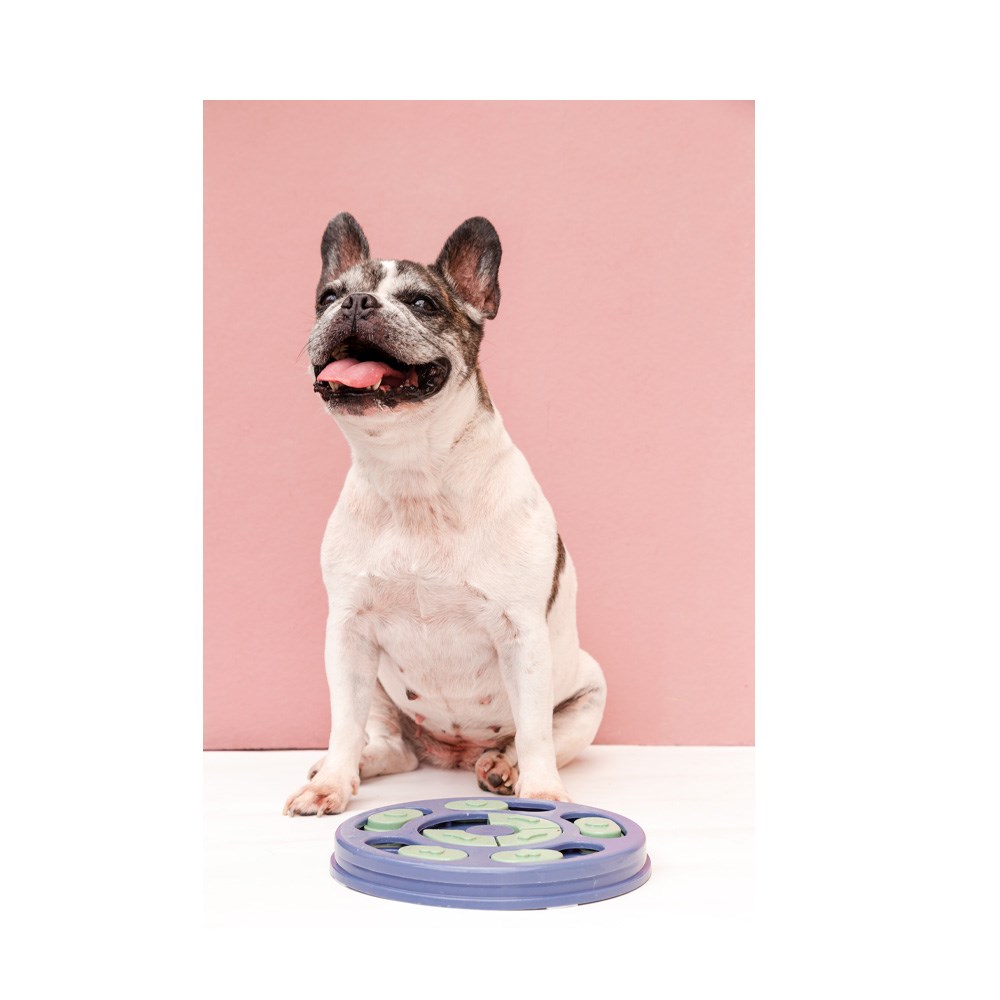 Brinquedo Oikos Labirinto Interativo para Cães e Gatos