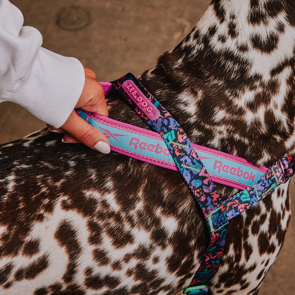トックリラン Peitoral Antipuxão SofterWalk para Cachorros Reebok Suede | Zee.Dog
