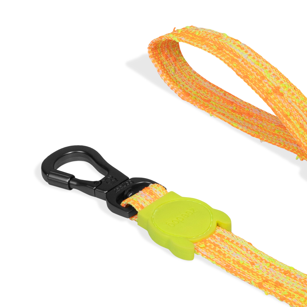 Guia para Cachorros Fuse Bikr