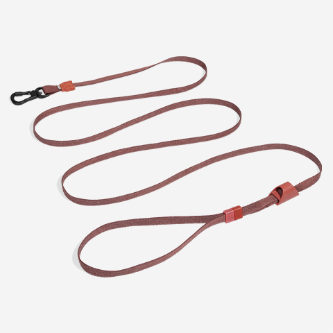 Guia Longa da Cachorros Naturals Cocoa | Zee.Dog