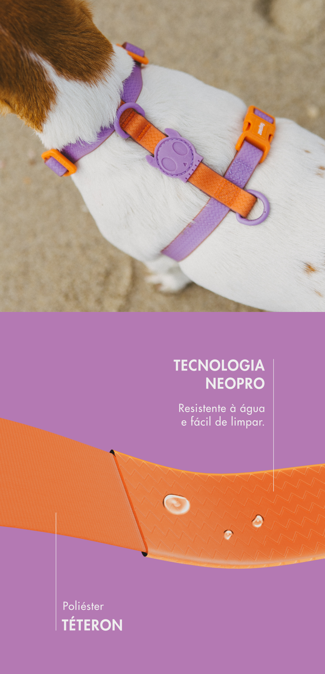 Peitoral para Cachorros H Neopro Iris | Zee.Now