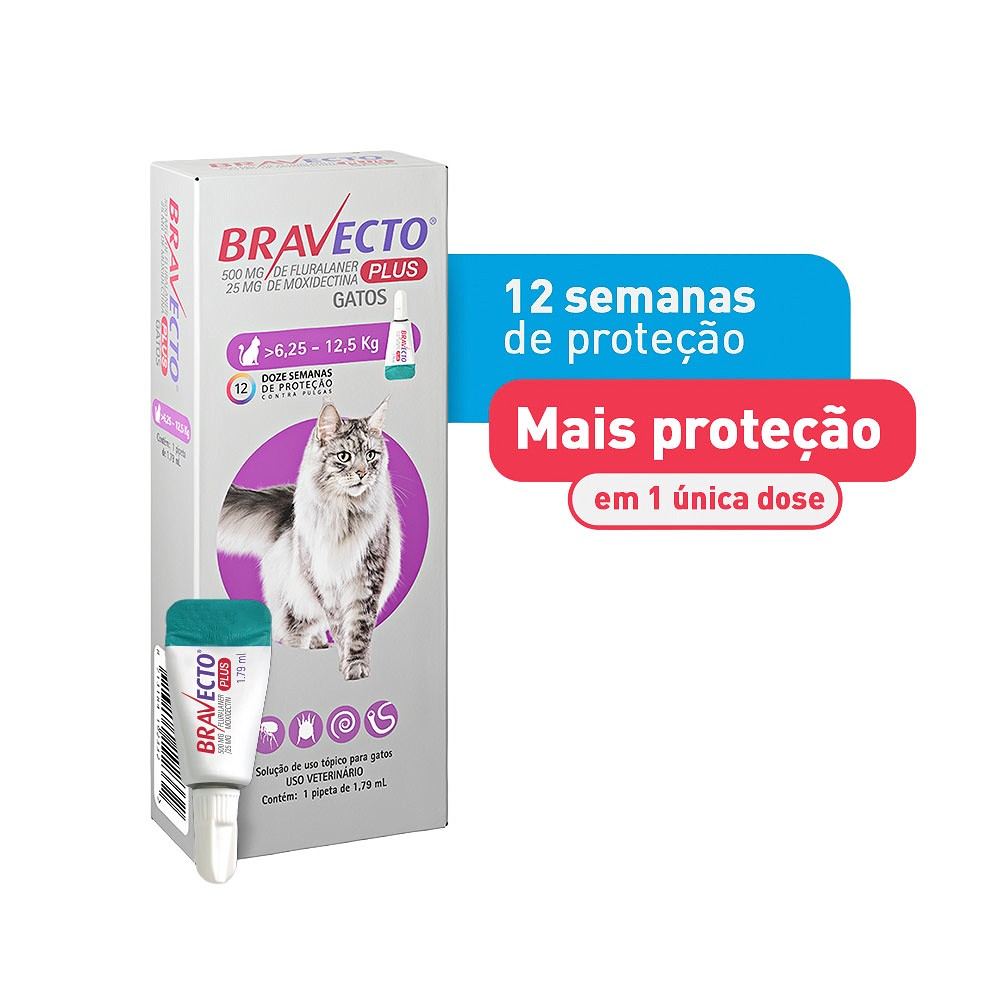 Antipulgas Bravecto Transdermal Plus para Gatos - 1 Pipeta de 500mg