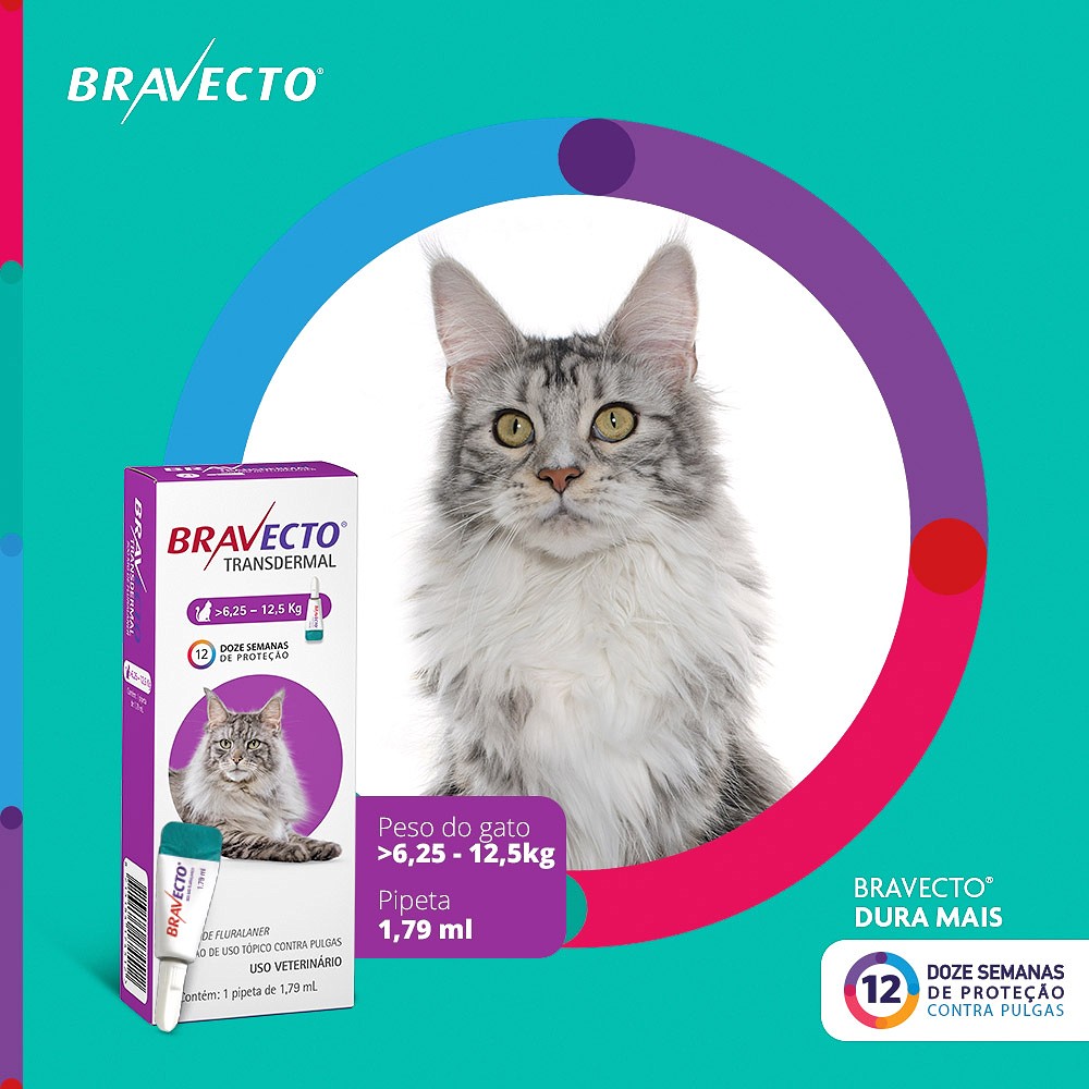 Antipulgas e Carrapatos Bravecto Transdermal para Gatos de 6,25kg a 12,5kg - 500mg