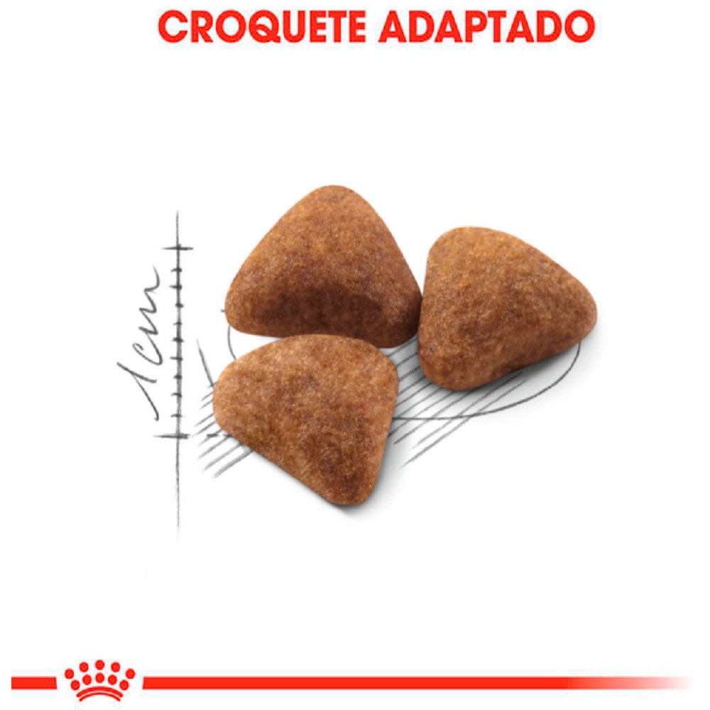 Ração Royal Canin Indoor para Gatos Adultos