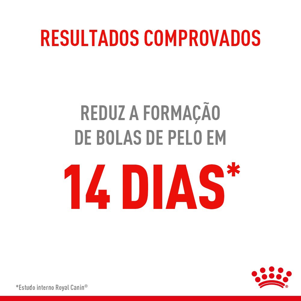 Ração Royal Canin Hairball Care para Gatos Adultos