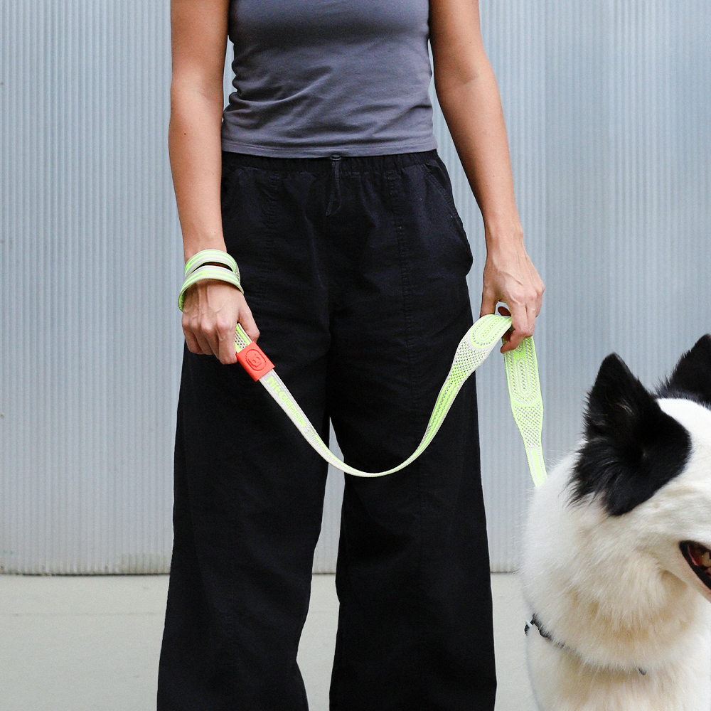 Guia para Cachorros NitLeash Gluten 