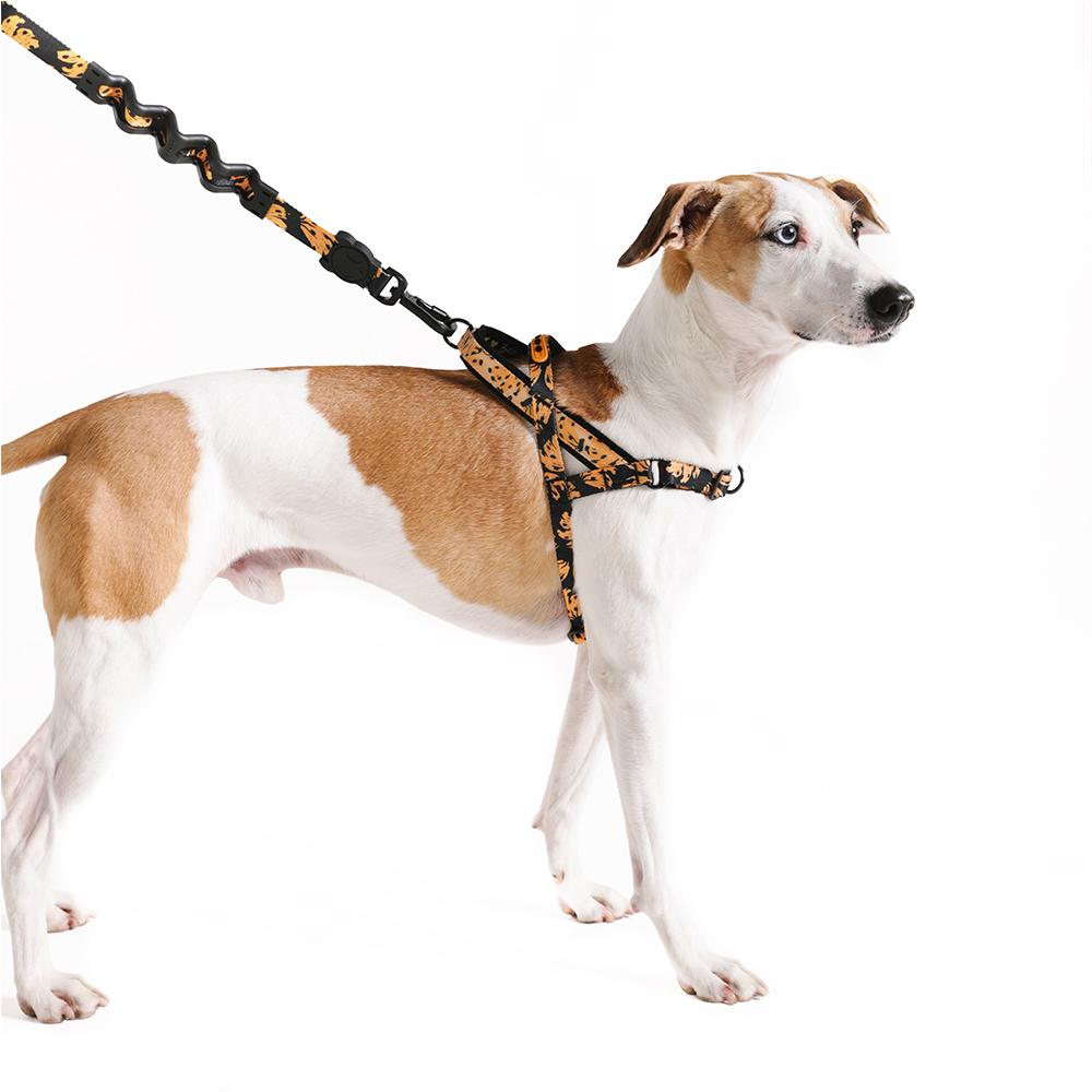 Peitoral Antipuxão SofterWalk para Cachorros FARM Rio Bossa Banana