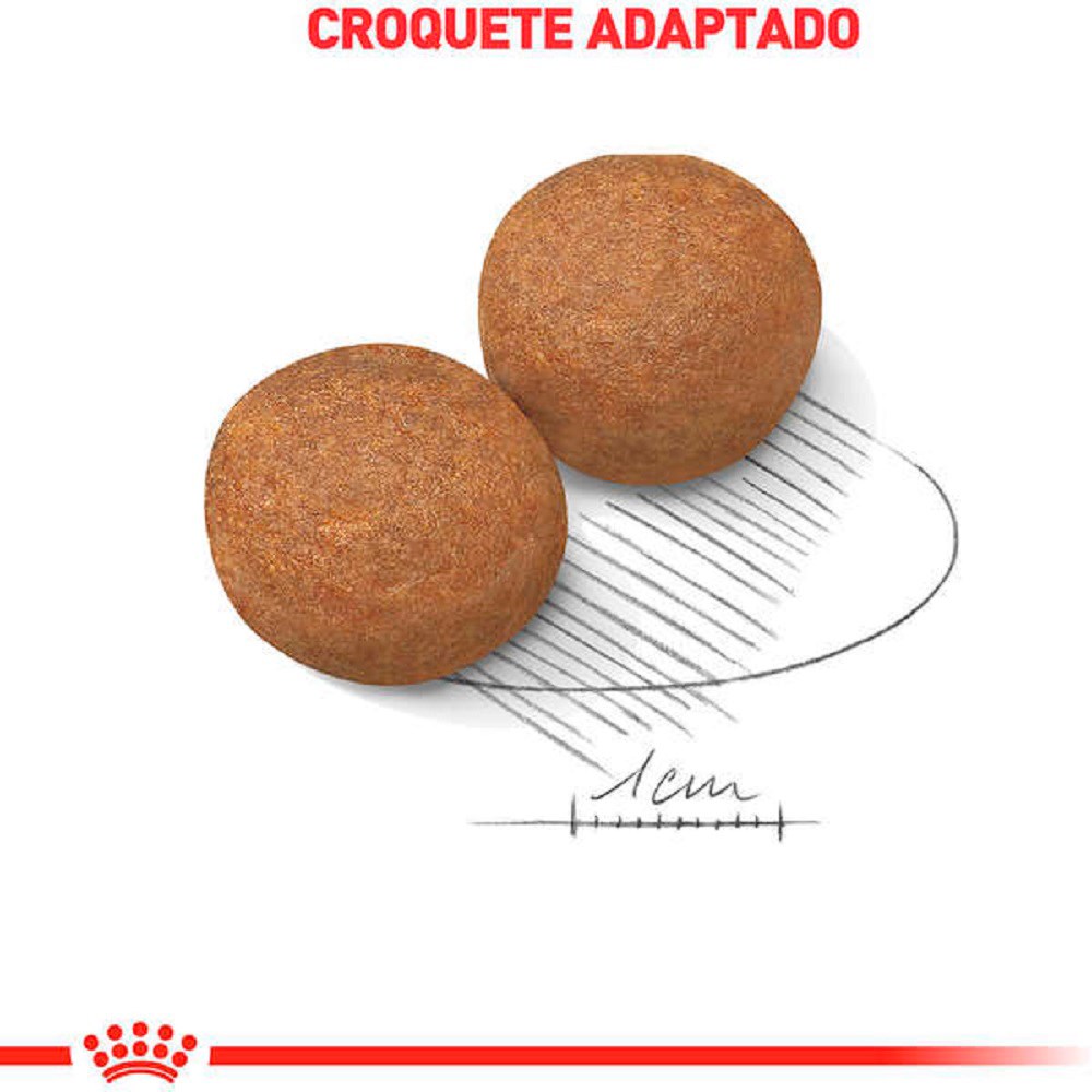 Ração Royal Canin Maxi Adult para Cães Adultos de Porte Grande a partir de 15 Meses de Idade