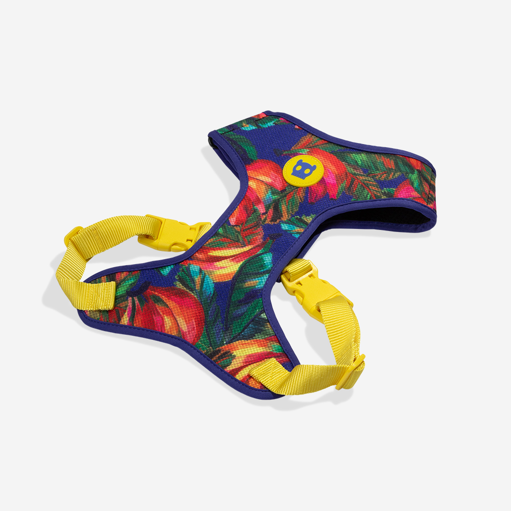 Peitoral para Cachorros Air Mesh Ajustável FARM Rio Samba | Imagem 5