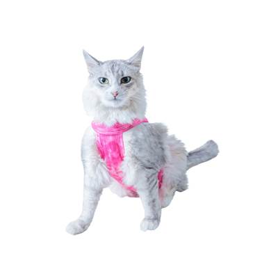 Roupa Pet Med Regata Dry Light Sureme para Gatos Cor Rosa 3