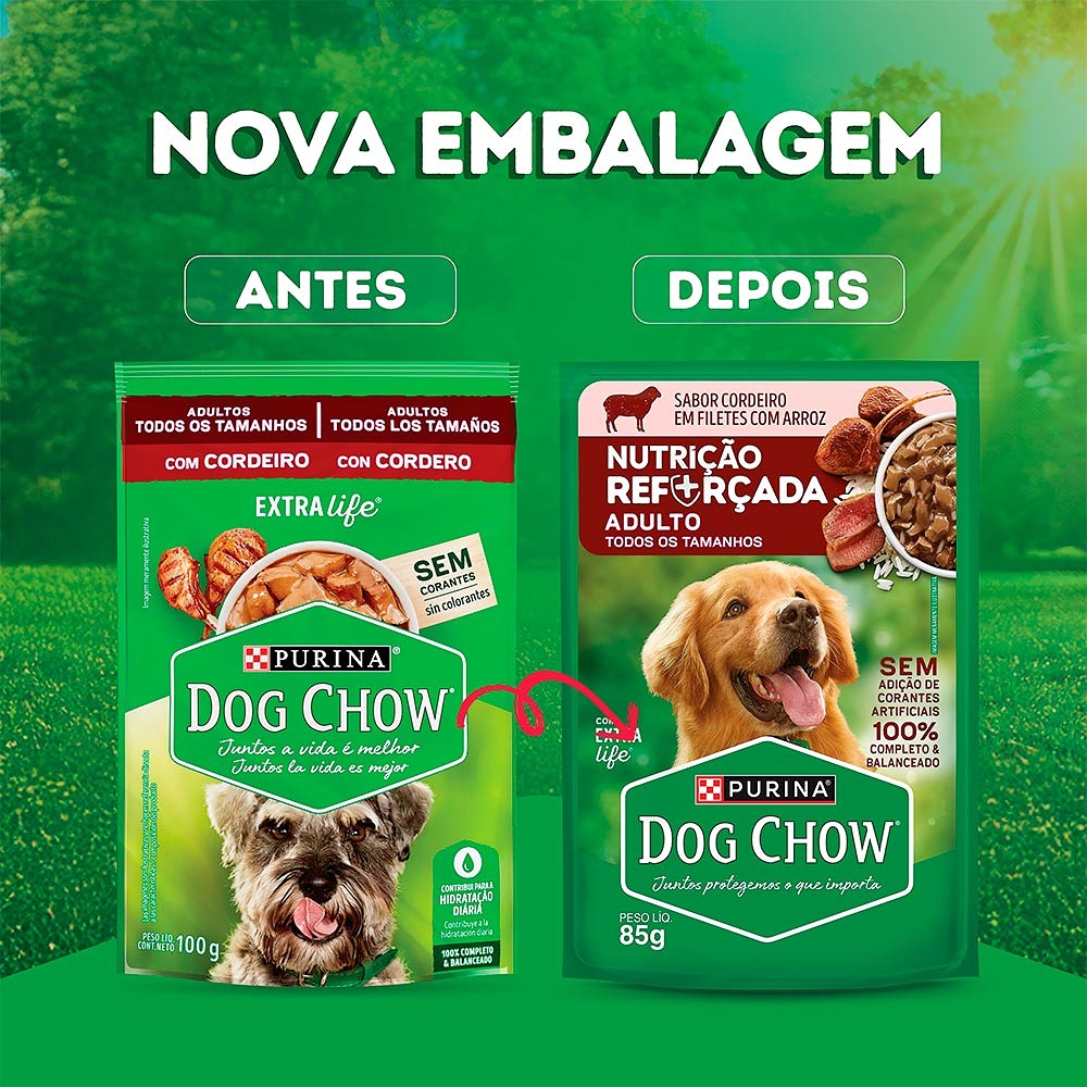 Ração Úmida Dog Chow Nutrição Reforçada para Cães Adultos Sabor Cordeiro em Filetes com Arroz