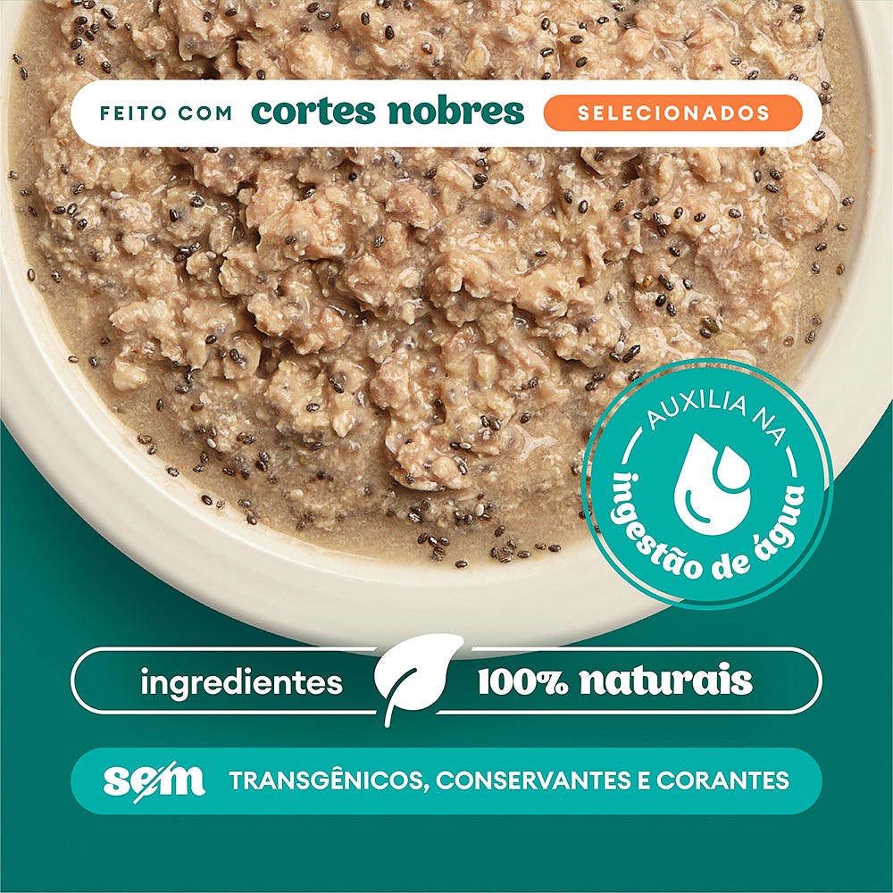 Sachê Natural Pet Delícia Ragu de Frango com Chia para Gatos