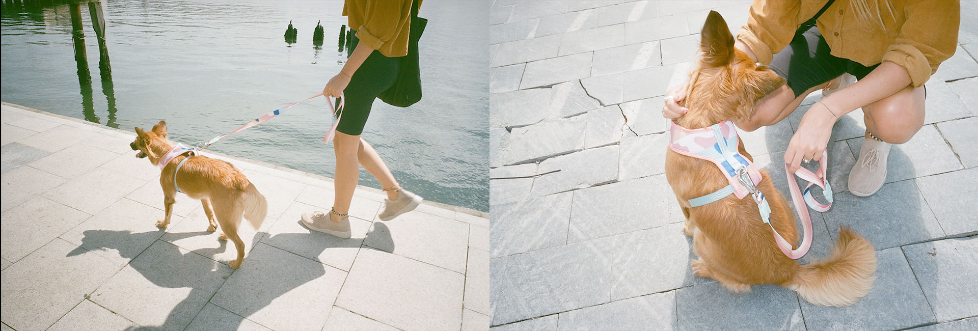 Peitoral para Cachorros H Columbia | Lifestyle Images