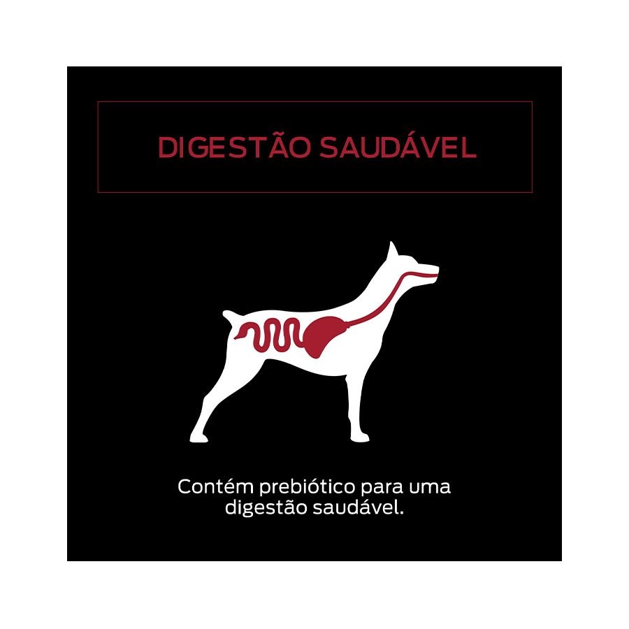 Ração Úmida Pro Plan para Cães Adultos Sachê sabor Carne 
