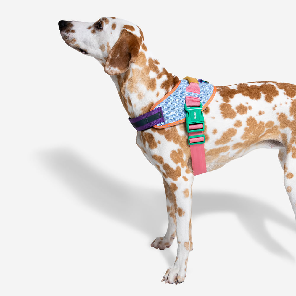Peitoral para Cachorros FlyHarness Galaxy | Imagem 5