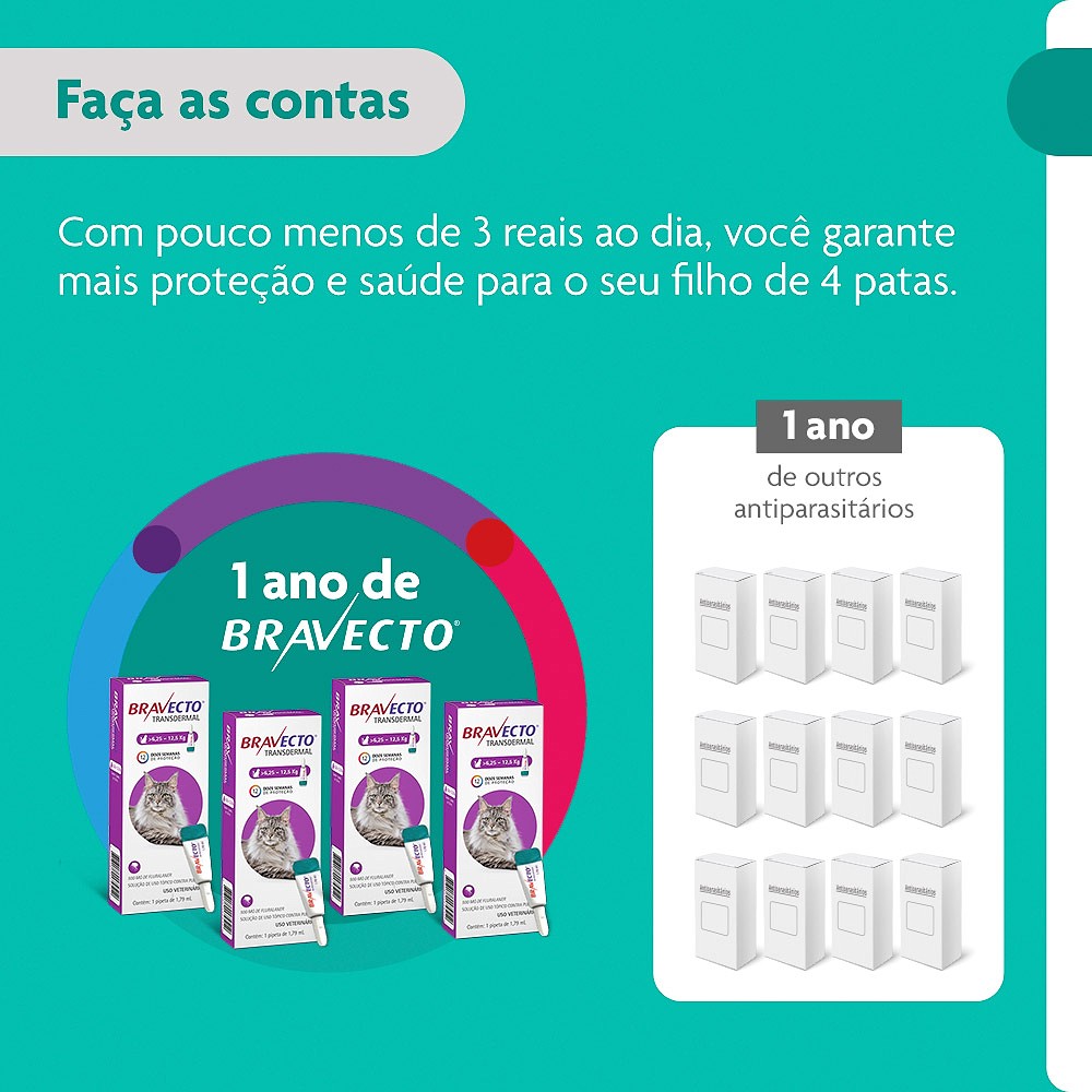 Antipulgas e Carrapatos Bravecto Transdermal para Gatos de 6,25kg a 12,5kg - 500mg