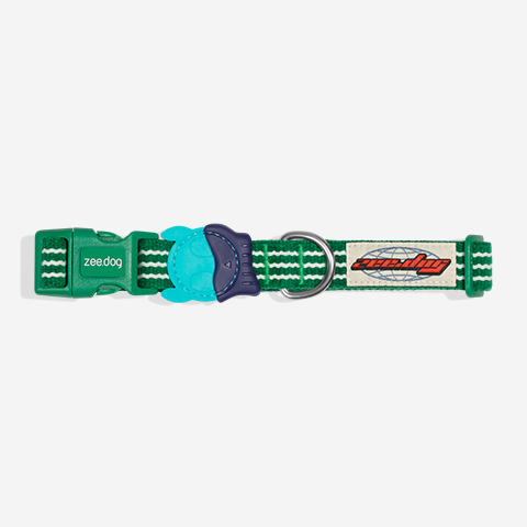 Coleira para Cachorros Velvet Vibes Vert