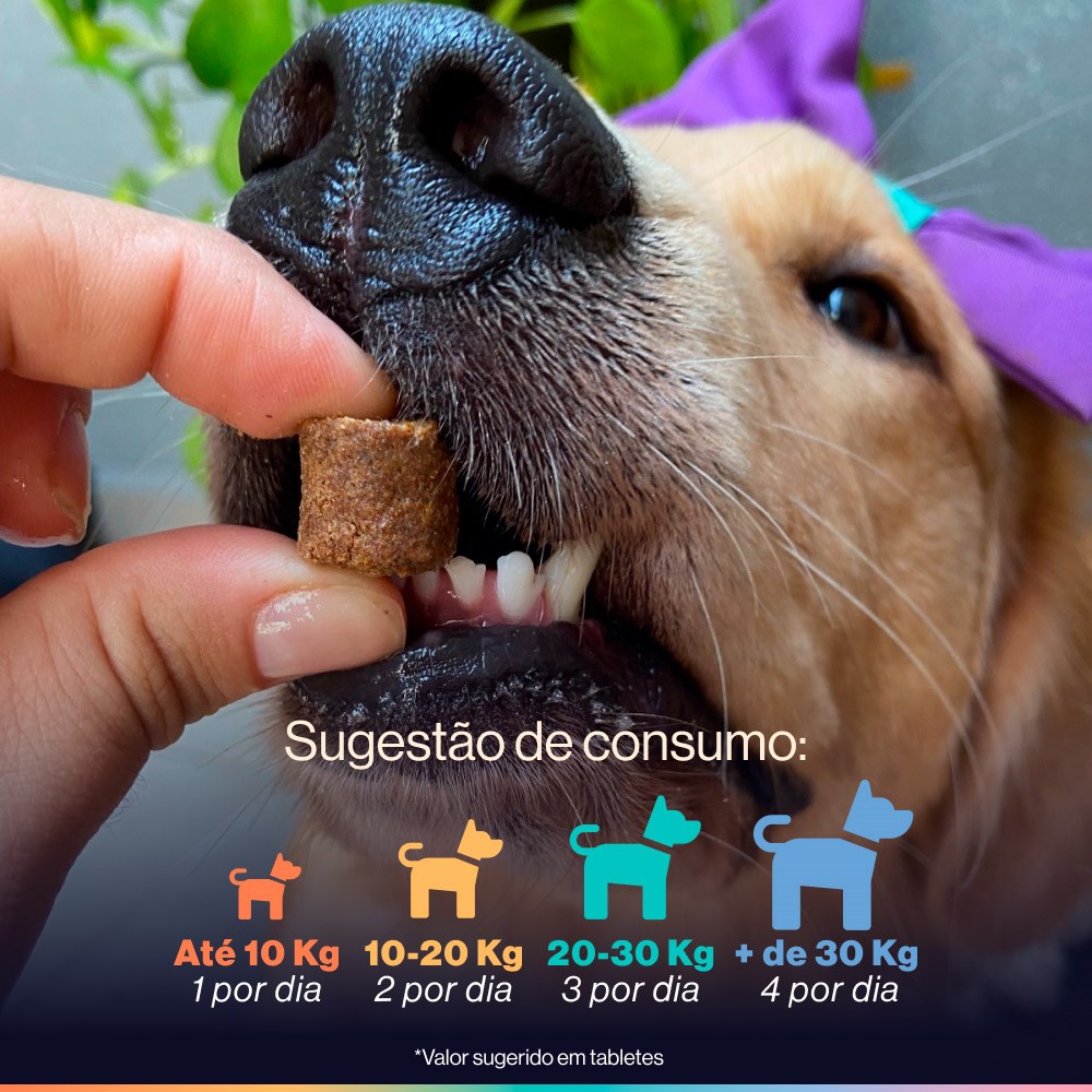 Suplemento Alimentar Buddy Nutrition Tranquilo & Calmo Sabor Carne Suína para Cães