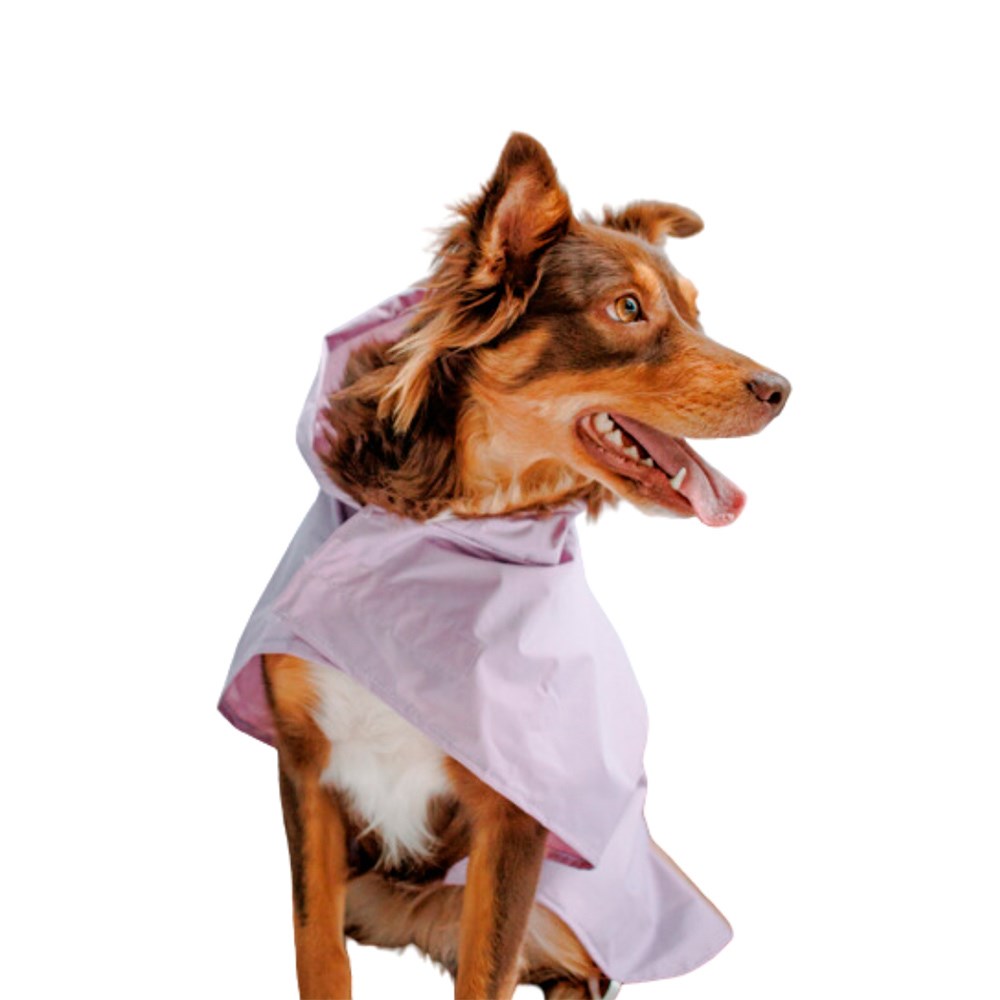 Capa de Chuva Bendog Lavanda para Cães