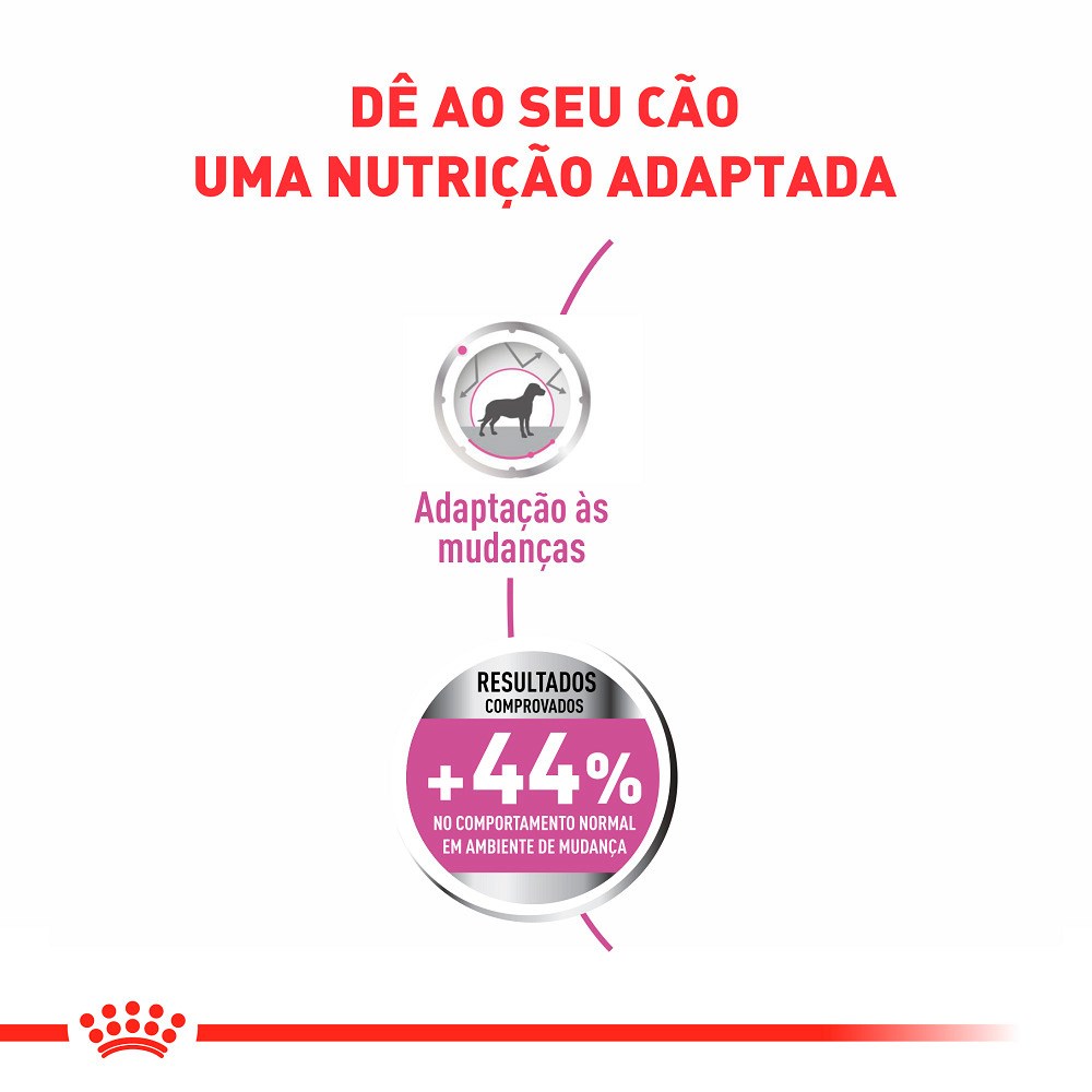 Ração Royal Canin Relax Care Mini para Cães Adultos