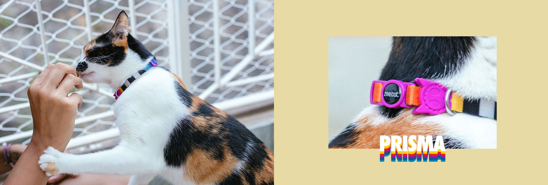 Coleira Zee.Cat Prisma para Gatos | Lifestyle Images