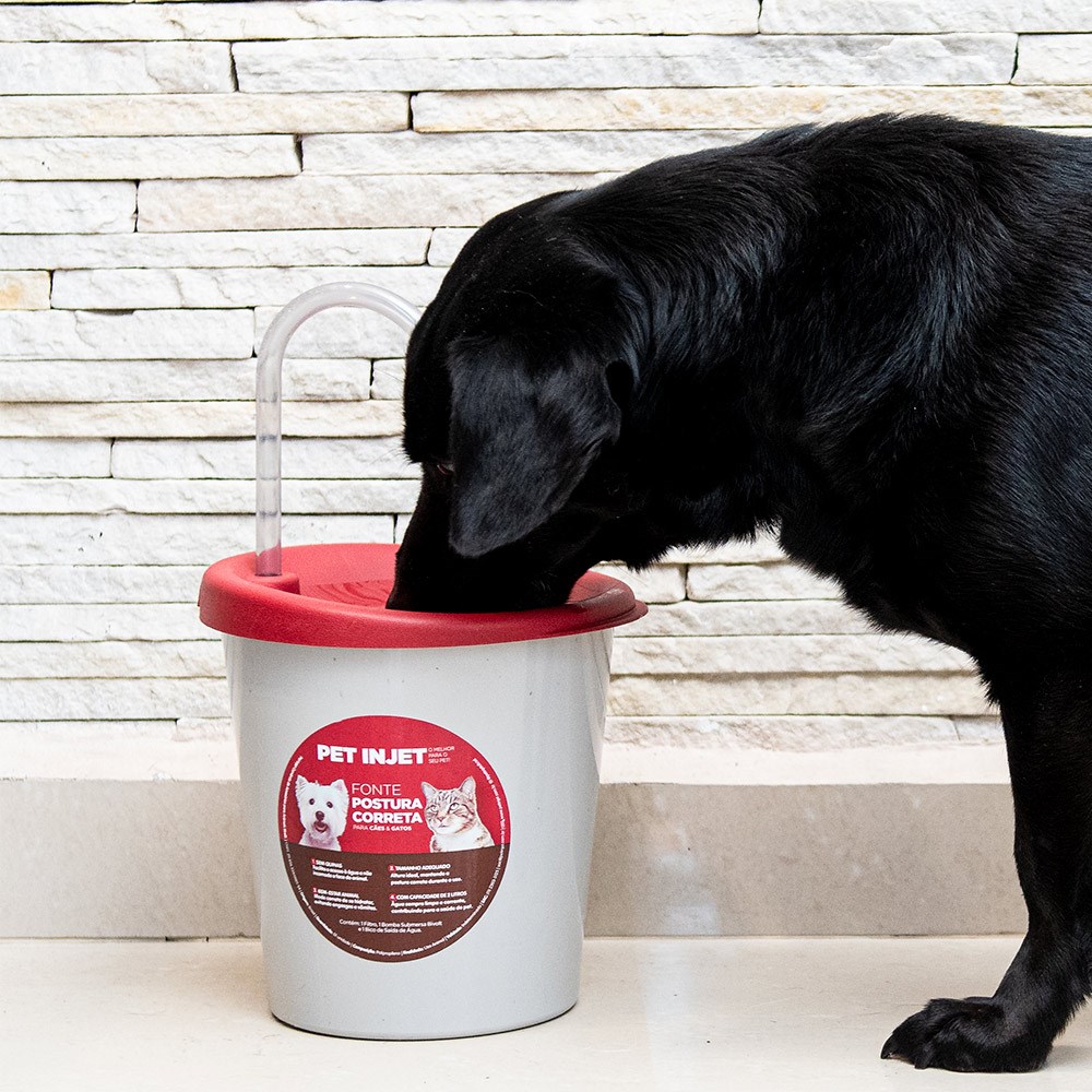 Fonte Pet Injet Postura Correta Vermelha para Cães e Gatos - Bivolt