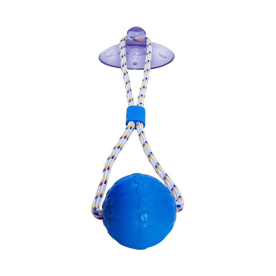 Brinquedo Truqys Push Ball Pet Azul