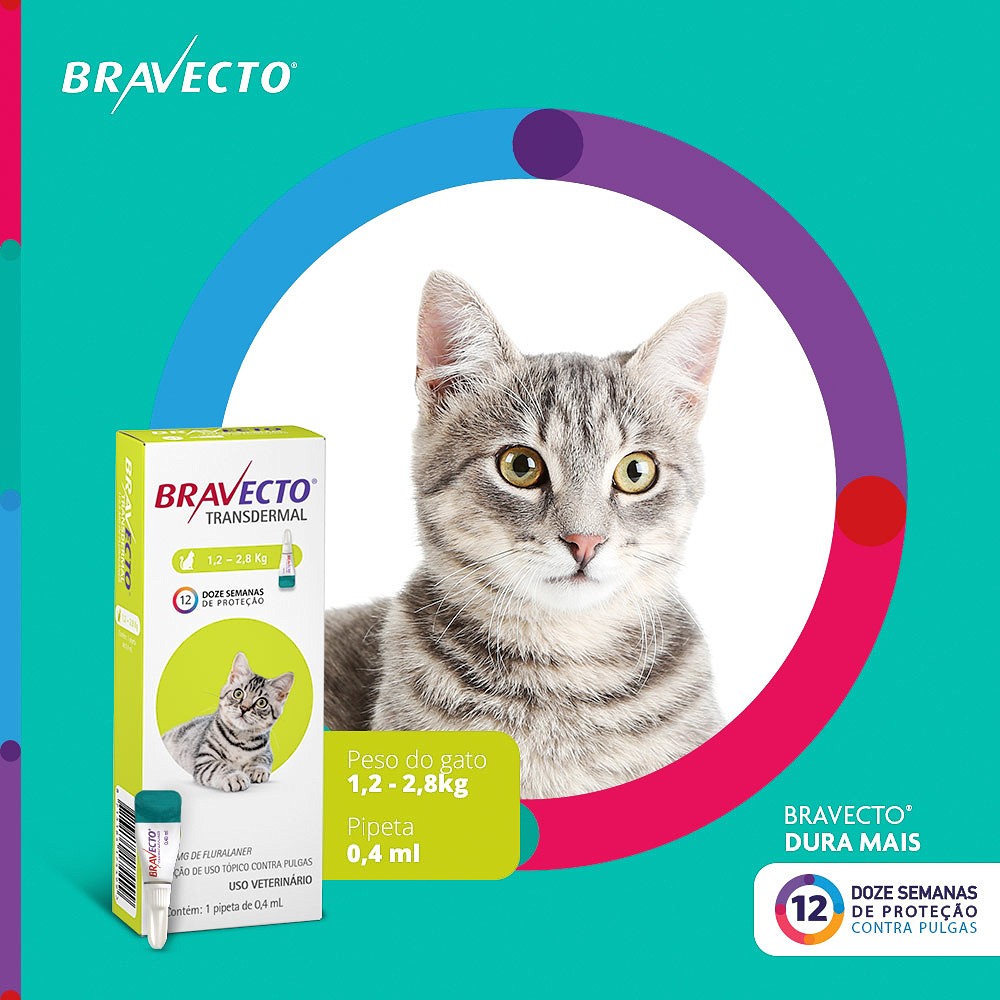 Antipulgas e Carrapatos Bravecto Transdermal para Gatos de 1,2kg a 2,8kg - 112,5mg