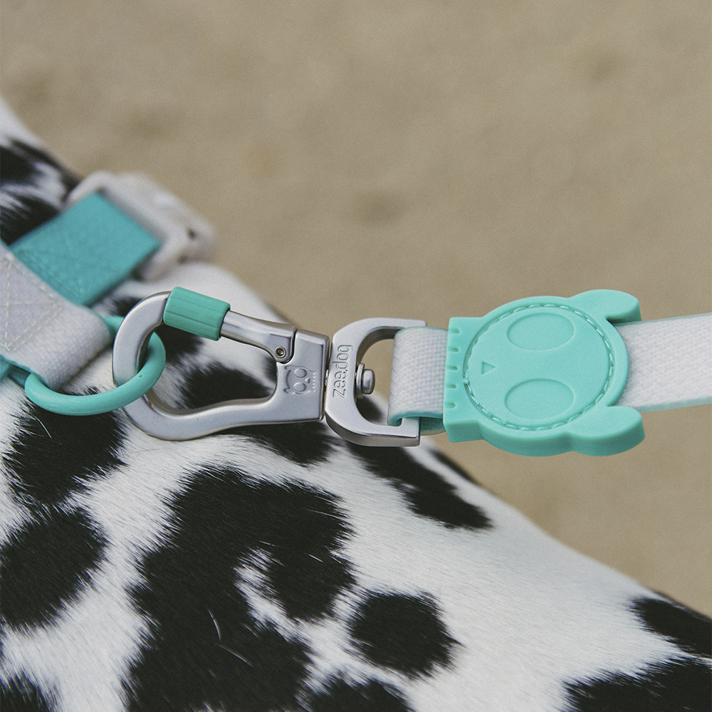 Guia para Cachorros Neopro Tidal
