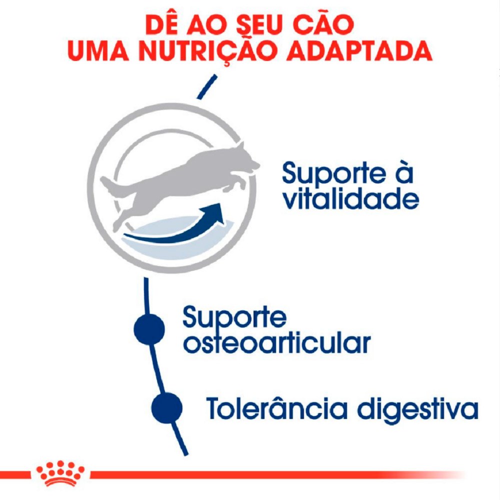 Ração Royal Canin Maxi Adult para Cães Adultos 5+ 