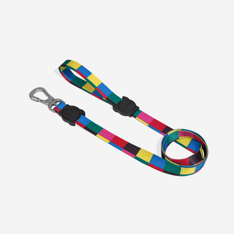 Guia para Cachorros Colorbless | Zee.Dog