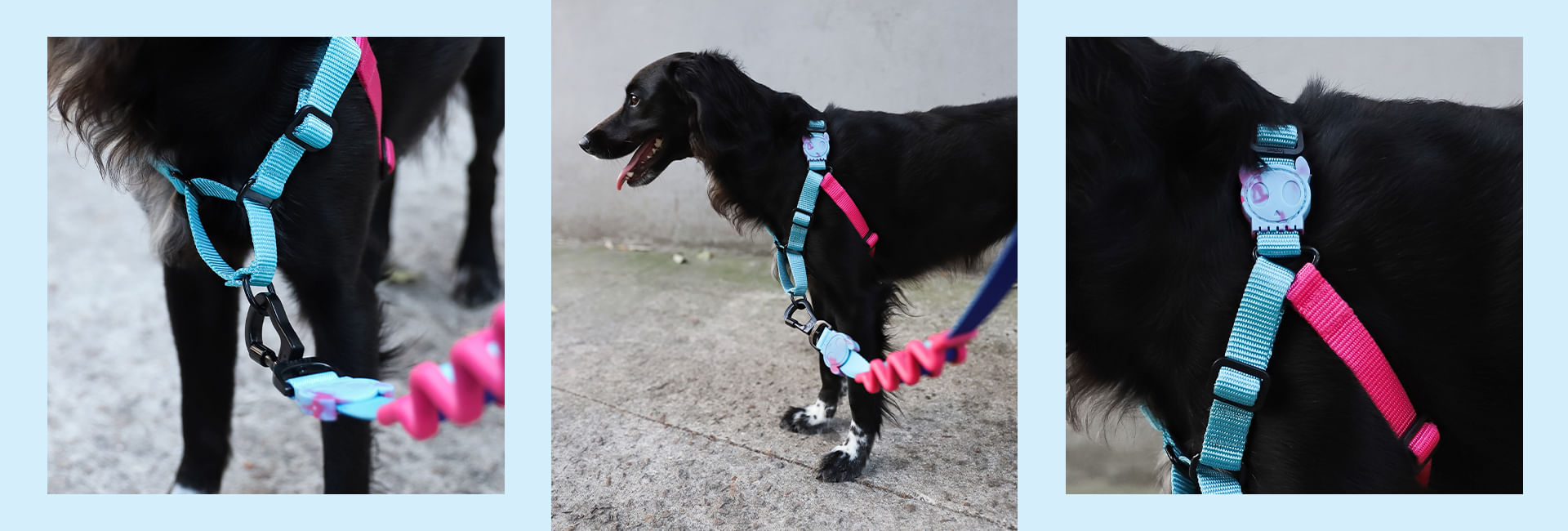 Guia com Amortecedor 2.0 para Cachorros Hydra | Lifestyle Images