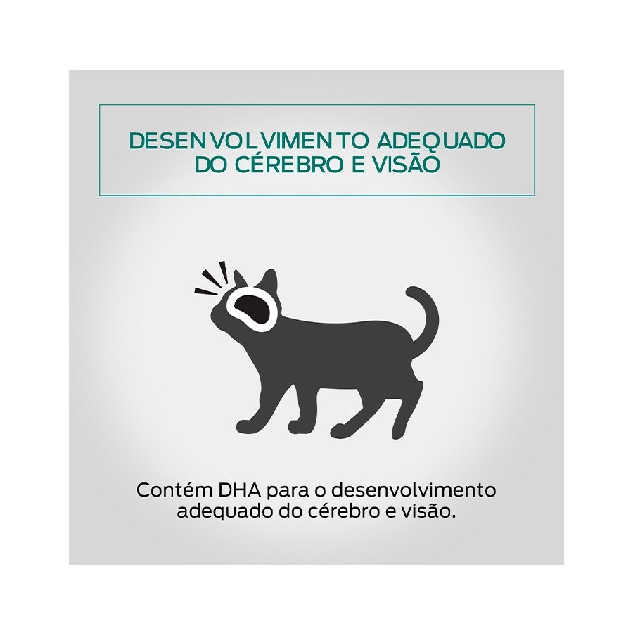 Ração Pro Plan Sachê Kitten para Gatos Filhotes sabor Frango ao Molho