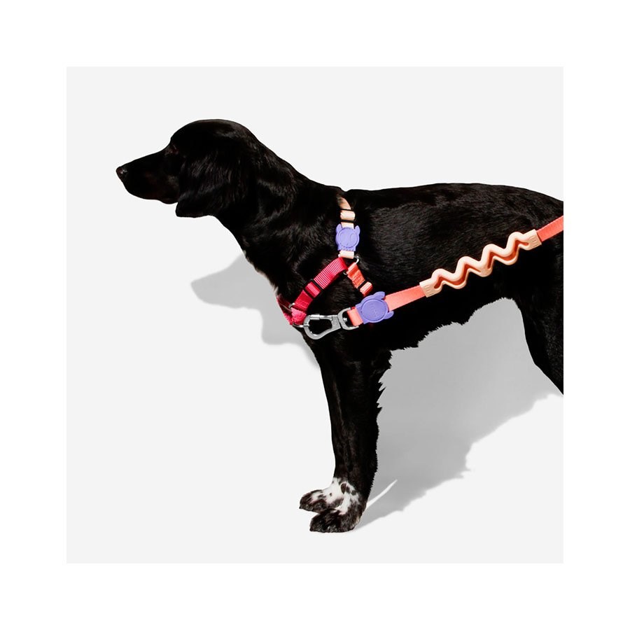 Peitoral para Cachorros Anti Puxão Cinnamon