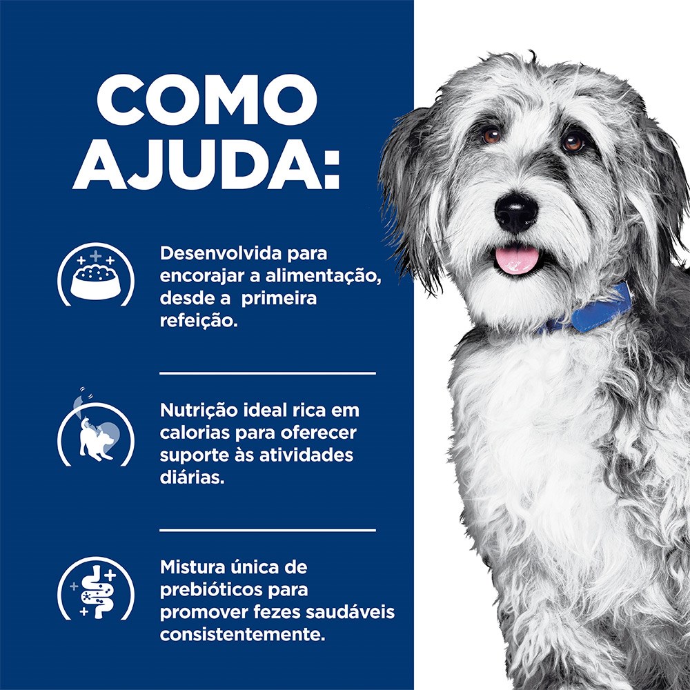 Ração Úmida Hill's Prescription Diet ONC Care Cuidado Oncológico para Cães