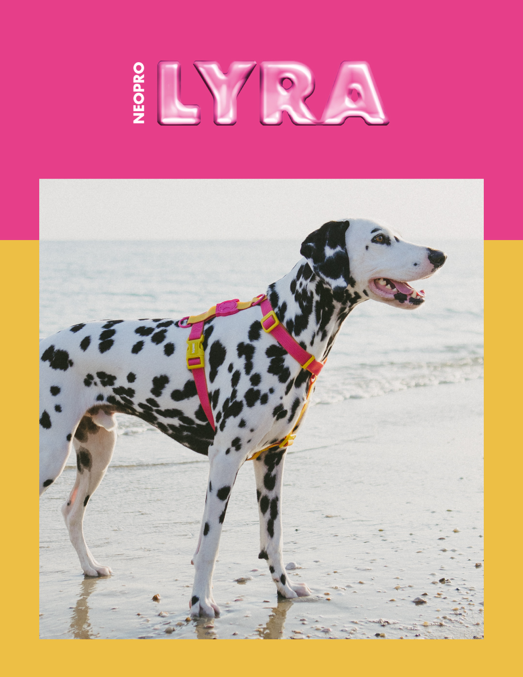Peitoral para Cachorros H Neopro Lyra | Zee.Now