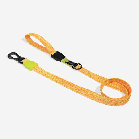 Guia para Cachorros Fuse Bikr | Zee.Dog