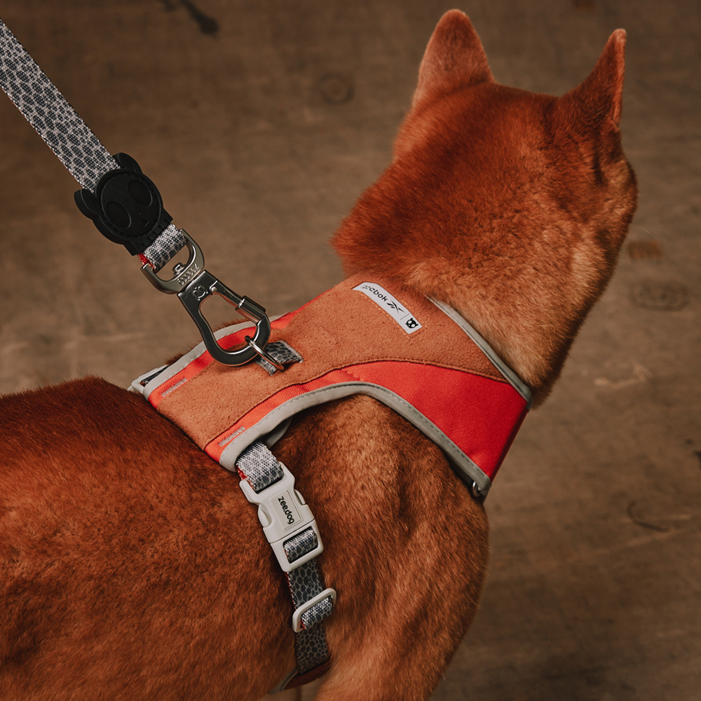 Peitoral para Cachorros Air Mesh Ajustável Reebok Suede | Imagem 4