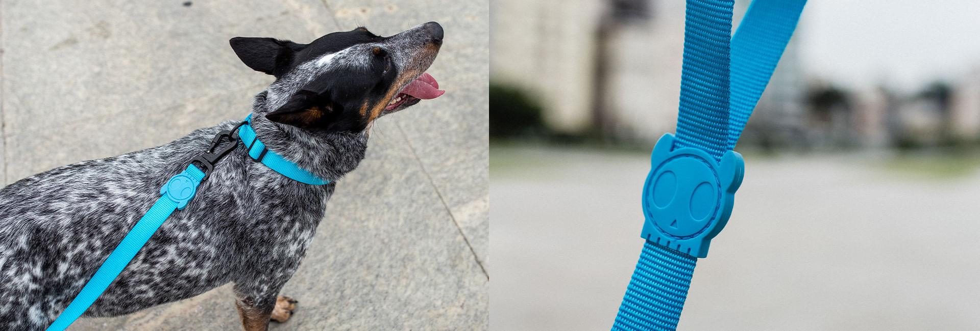 Peitoral para Cachorros Air Mesh Ajustável Ultimate Blue | Lifestyle Images