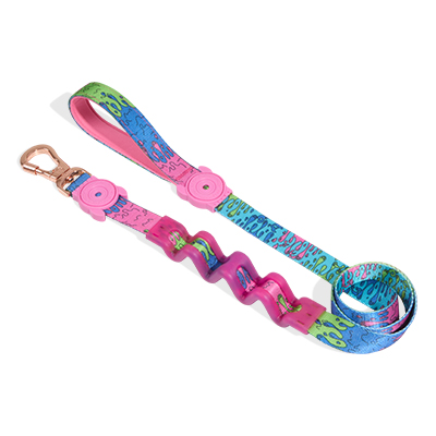 Guia com Amortecedor para Cachorros Melted G