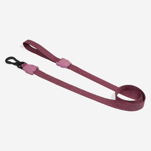 Guia para Cachorros Naturals Hibiscus | Zee.Dog