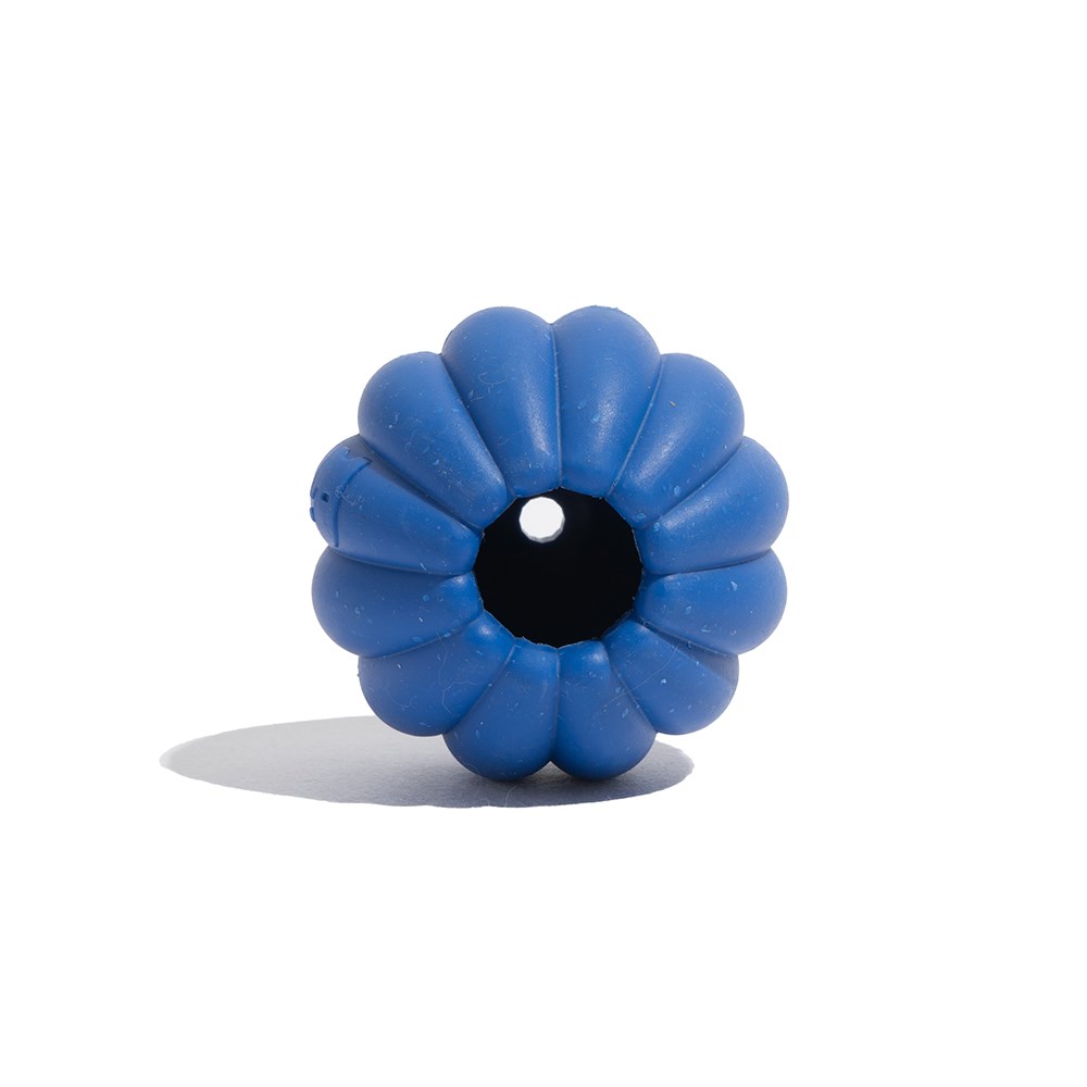 Brinquedo para Cachorros Tangerina Azul 