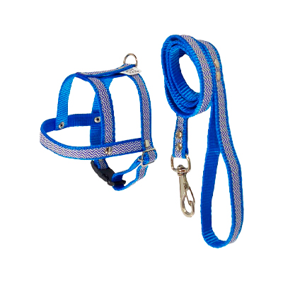 Peitoral com Guia Griff Dog Azul para Cães 3