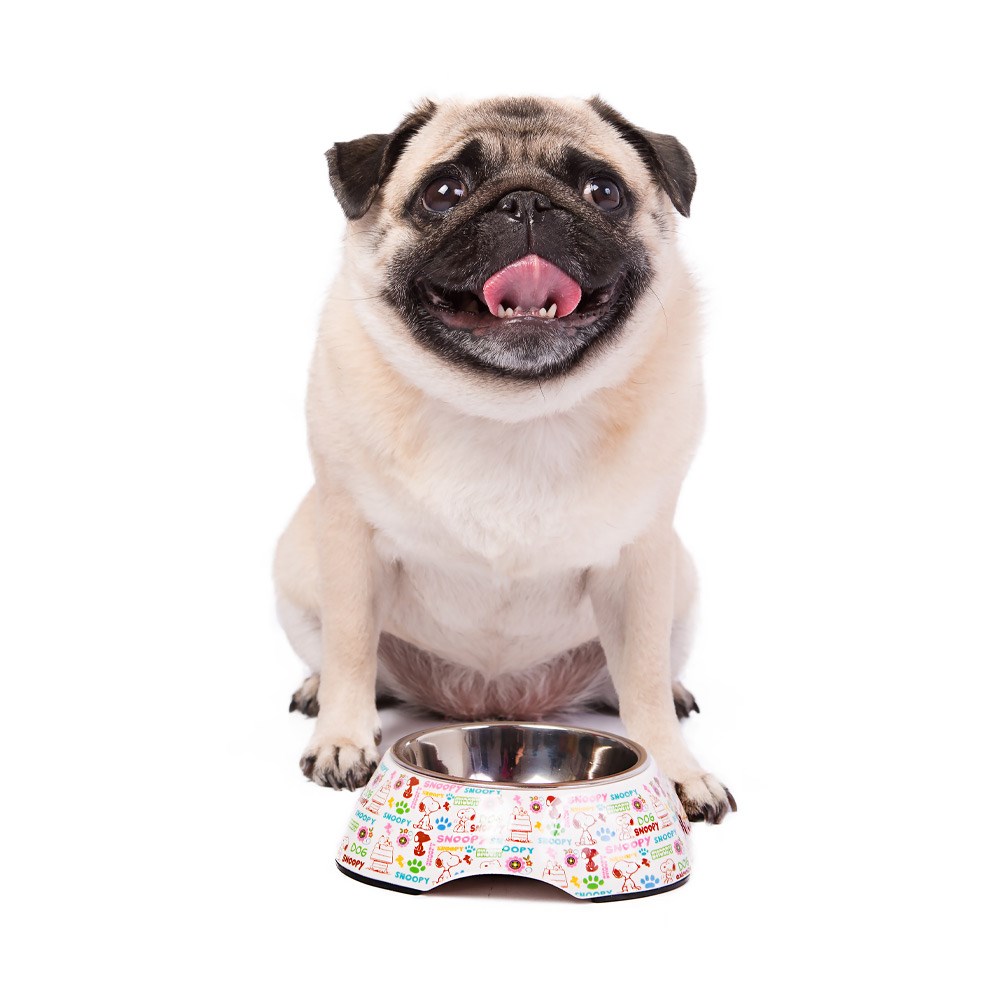 Comedouro Zooz Pets Snoopy Melamina Mel100-MUPk para Cães