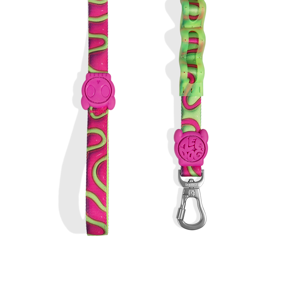 Guia com Amortecedor para Cachorros 2.0 H3D Jelly