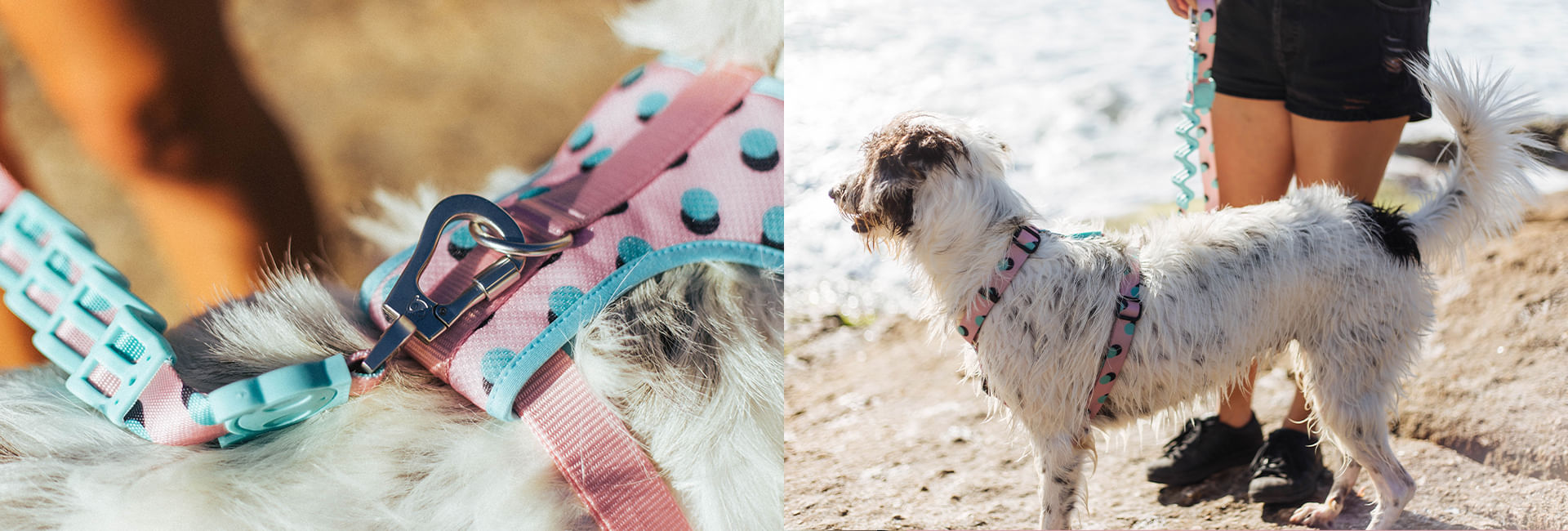 Peitoral para Cachorros H Polka | Lifestyle Images