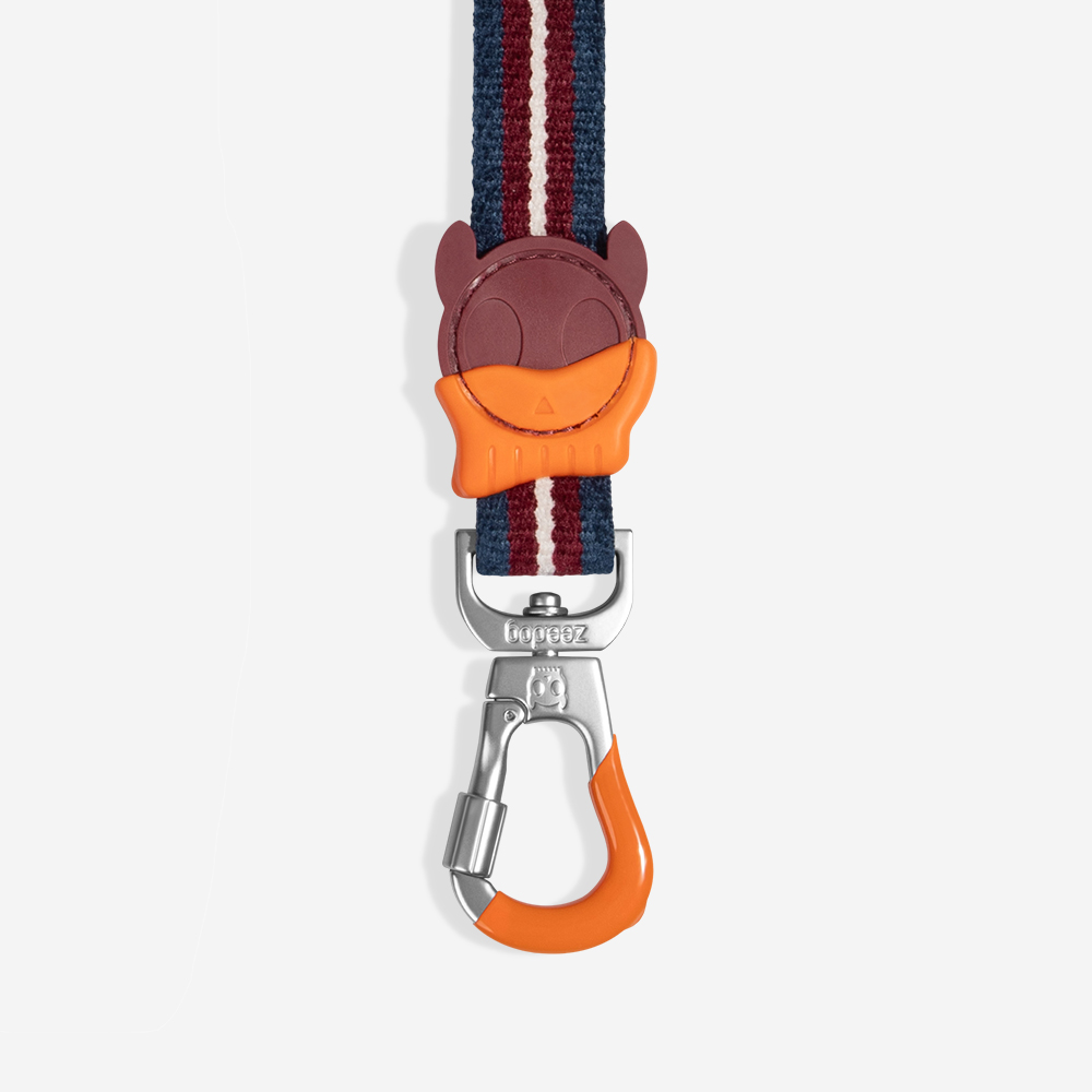 Guia para Cachorros Velvet Vibes Dropout | Imagem 4